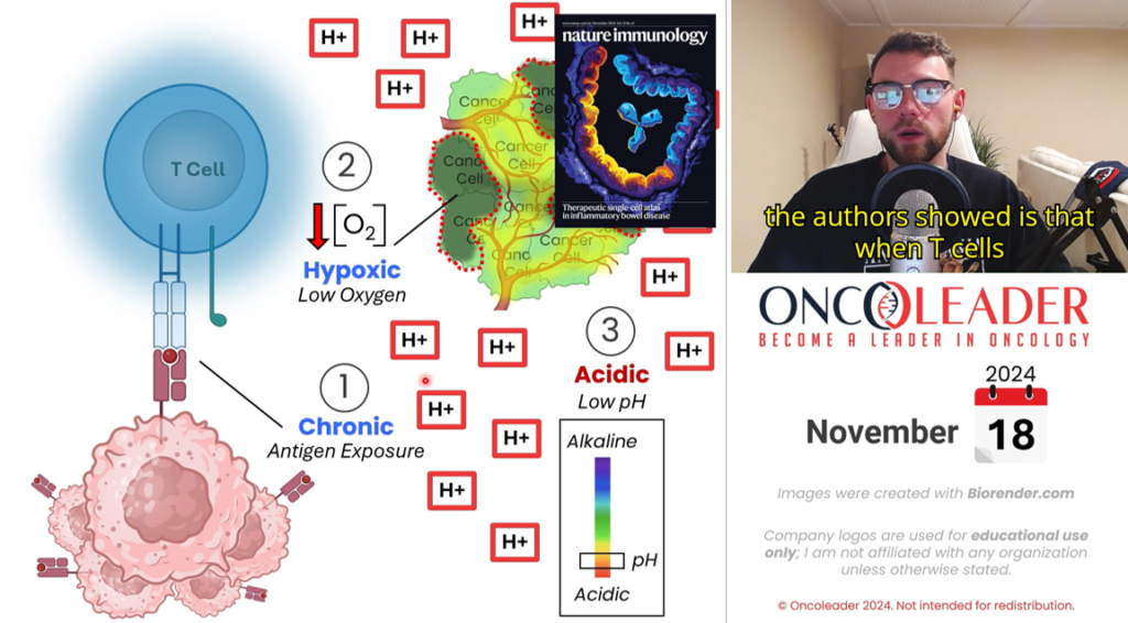 Oncoleader MCT11 screenshot cancer oncology immunotherapy