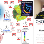 Oncoleader MCT11 screenshot cancer oncology immunotherapy