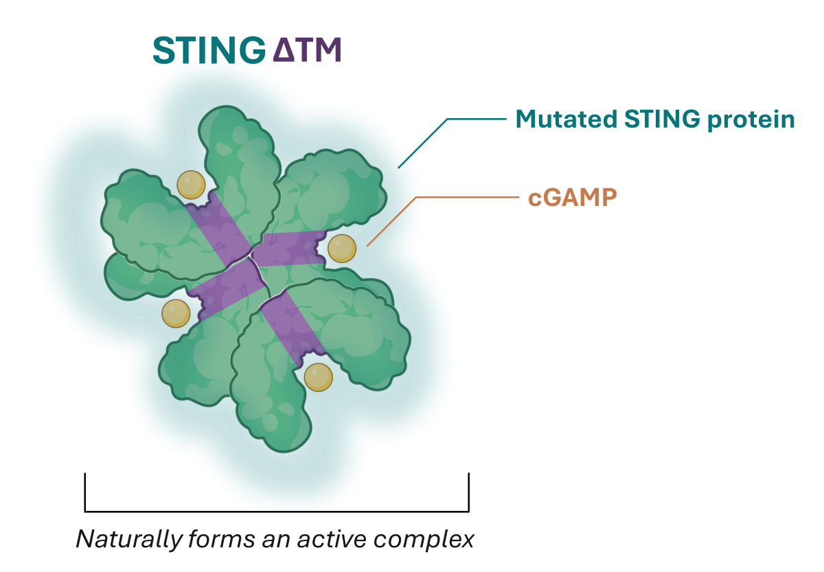 STING TM