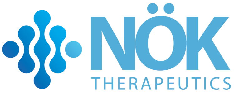 NOK LOGO 1 transparent bg